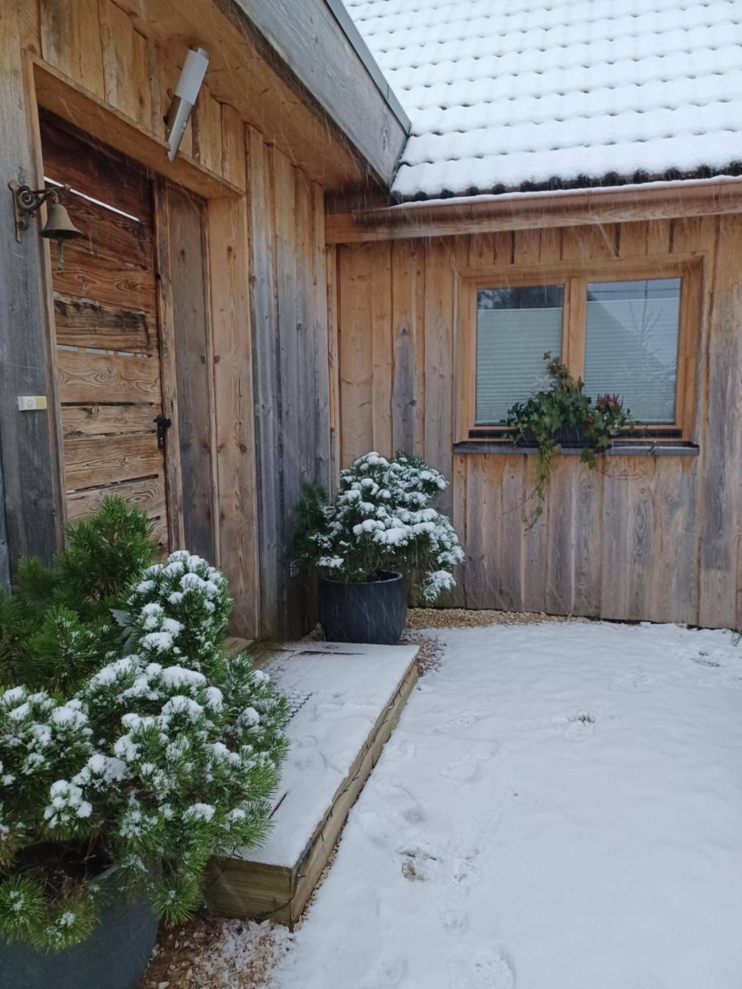 Chalet Hohneck 4 étoiles, vieux bois et pierre, SPA, sauna, borne de recharge Stosswihr Exterior foto